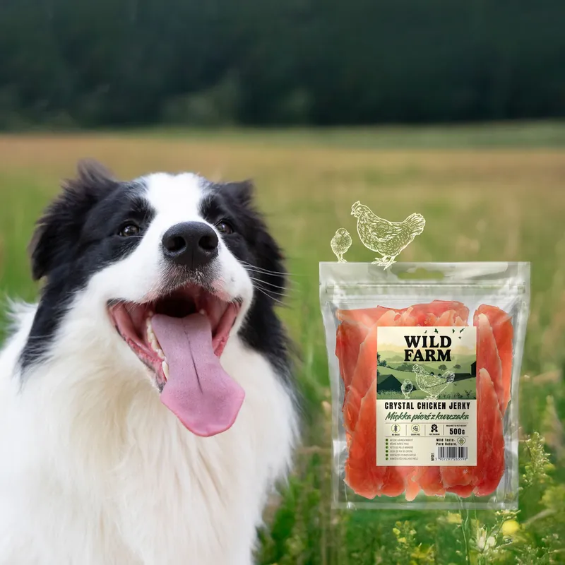 Przysmak Dla Psa Miękka Pierś Z Kurczaka Naturalny ZOOJOY 500 g