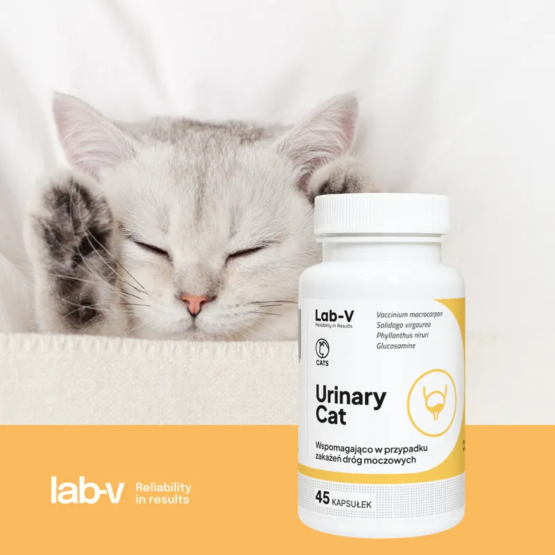Lab-V Urinary Cat Wsparcie Układu Moczowego Dla Kotów 45 Kapsułek