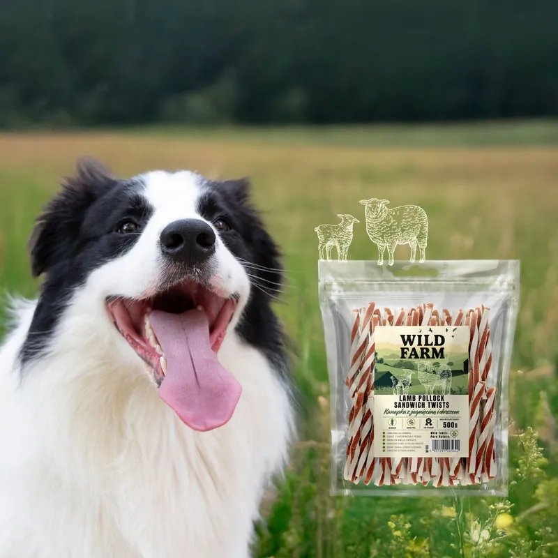 Przysmak Dla Psa Z Jagnięciną I Dorszem Bezzbożowy ZOOJOY 500 g