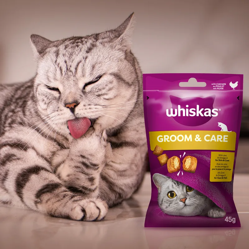 Whiskas Zdrowy Blask Przysmak Dla Kota Z Kurczakiem 45g