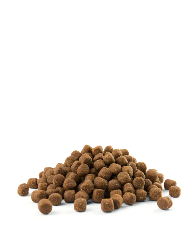 Versele-Laga Opti Life Puppy Sensitive Łosoś Z Ryżem 12,5kg