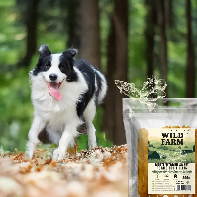 Przysmak Dla Psa Filety Z Batatów Naturalne Bezzbożowe ZOOJOY 500 g