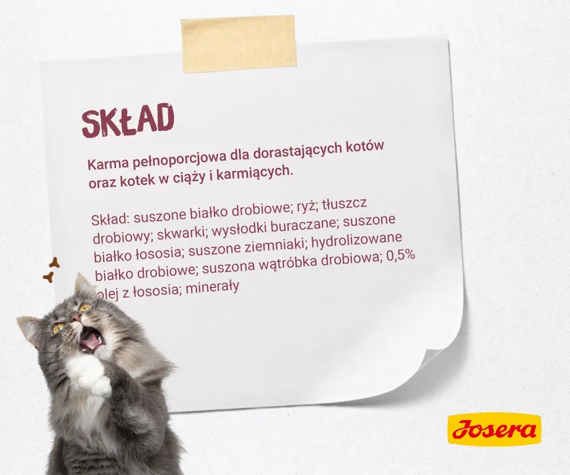 Josera Kitten 10kg