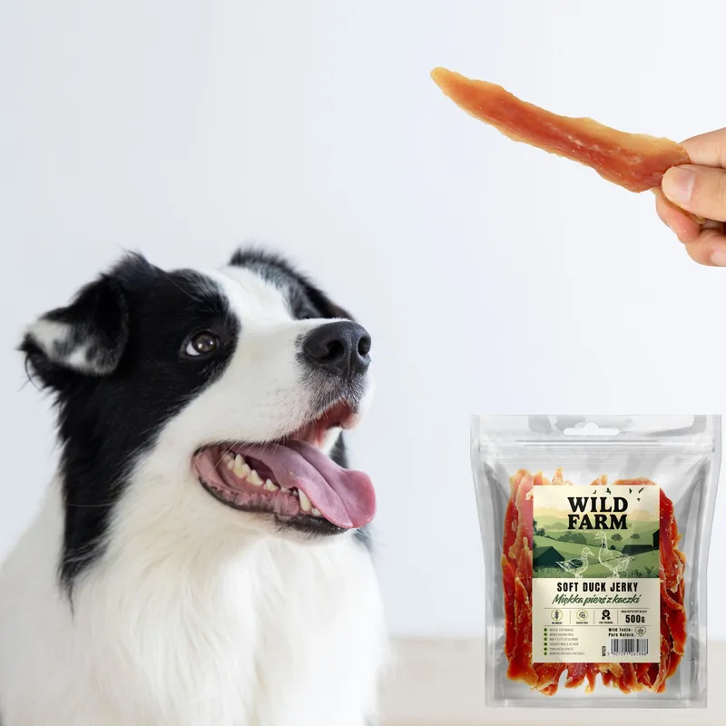 Przysmak Dla Psa Miękka Pierś Z Kaczki Bezzbożowy ZOOJOY 500 g Naturalny