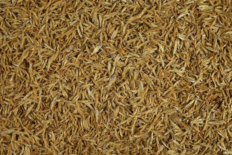 Tetra Anchovies 1l