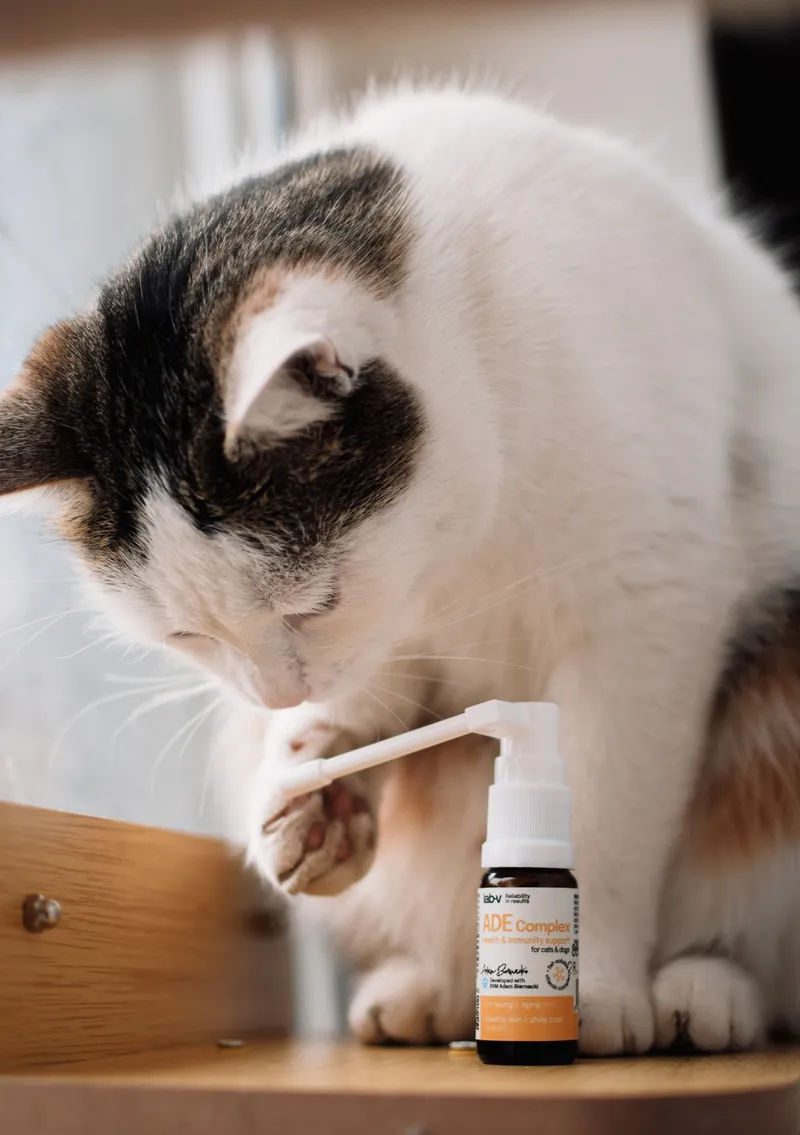 Lab-V ADE Complex Kompleks Witamin A, D I E W Formie Spreju Dla Psów I Kotów 2 x 10ml