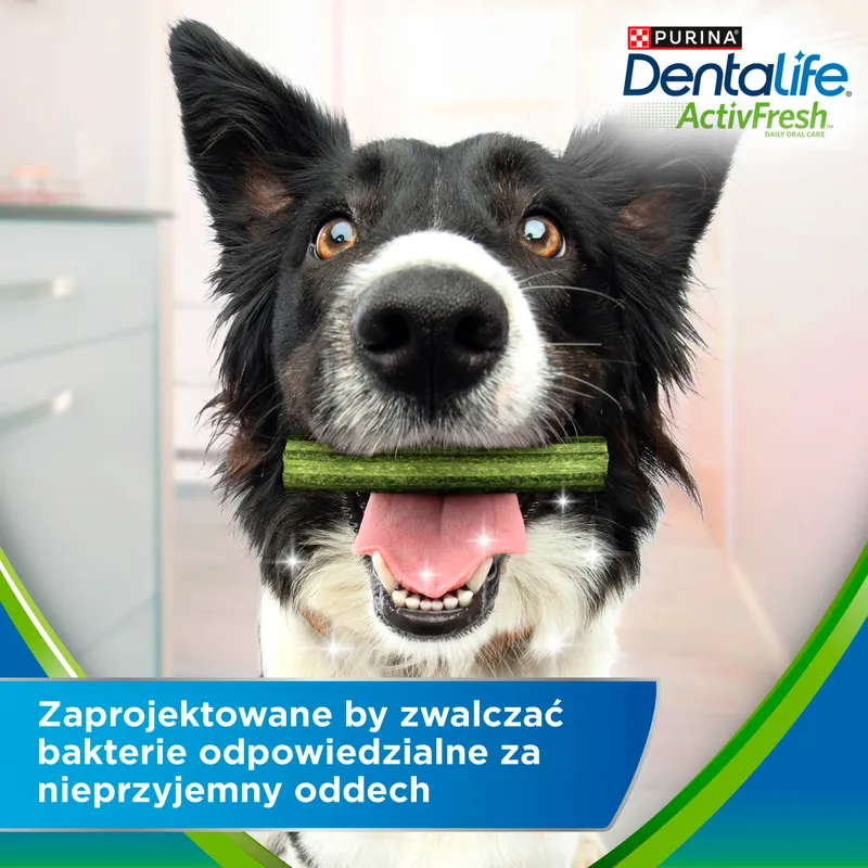Przysmak Dla Psa Dentystyczny ZOOJOY Medium Activefresh 5 szt 115 g