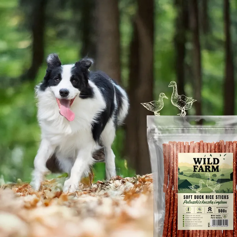 Przysmak Dla Psa Paluszki Z Kaczką I Ryżem Naturalne ZOOJOY 500 g