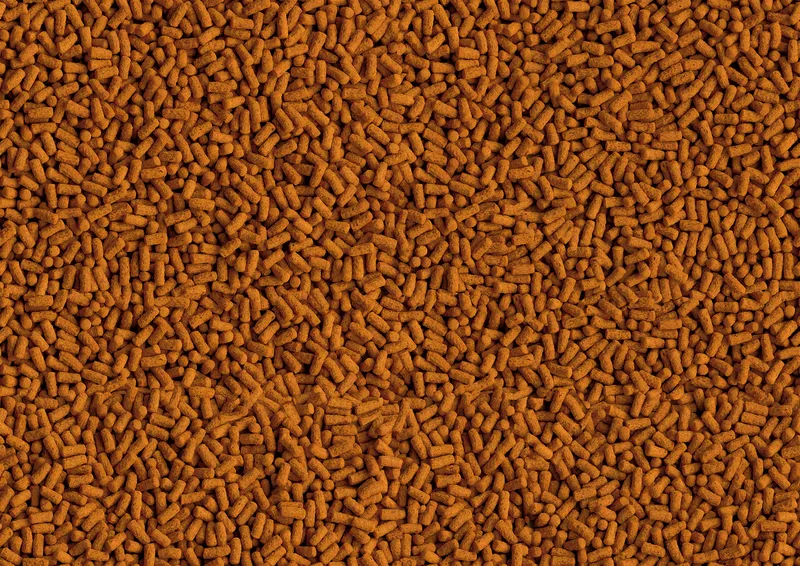 Tetra Pond Koi ColourandGrowth Sticks 1l