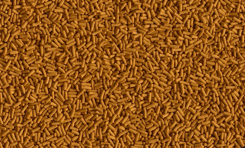 Tetra Cichlid Sticks 10l