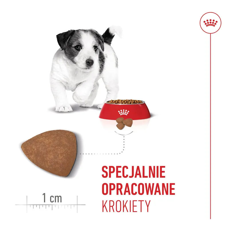 ROYAL CANIN Mini Puppy 800g