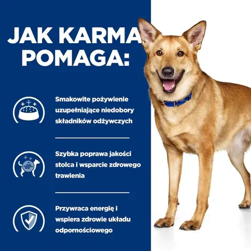Hill's PD Prescription Diet Canine I/D 4kg