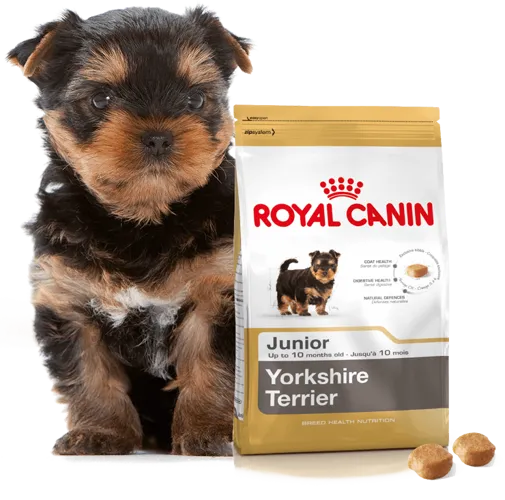 ROYAL CANIN Yorkshire Terrier Puppy 500g