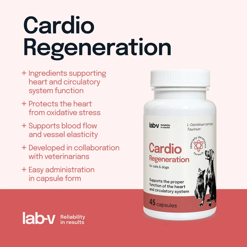 Lab-V Cardio Regeneration Wsparcie Prawidłowego Funkcjonowania Pracy Serca I Układu Krążenia Dla Psów I Kotów 45 Kapsułek