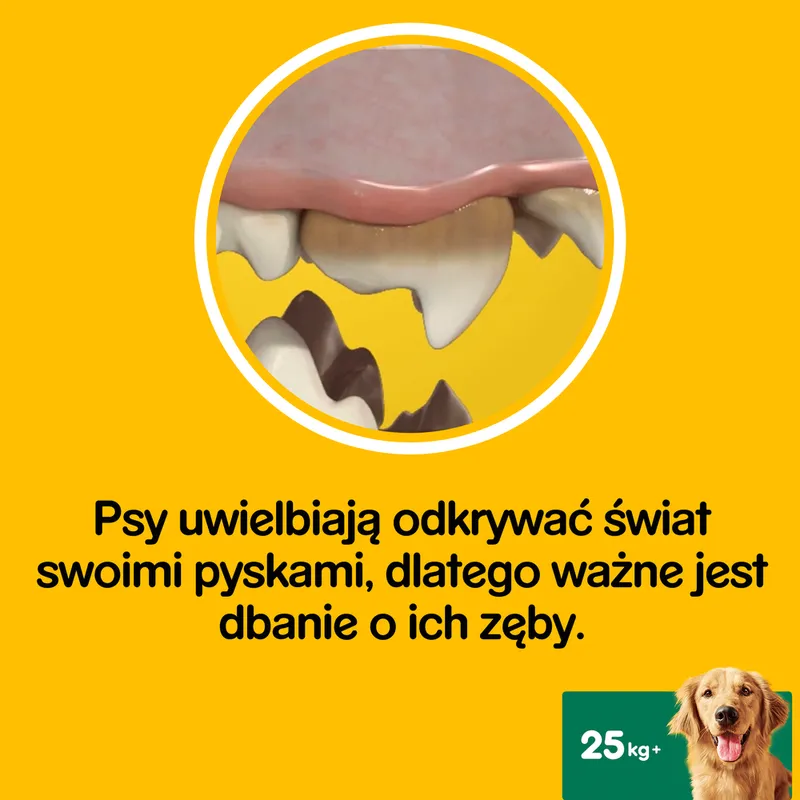 Pedigree DentaStix Przysmak Dentystyczny Dla Psów Od 4 Miesiąca I Powyżej 25kg 270g