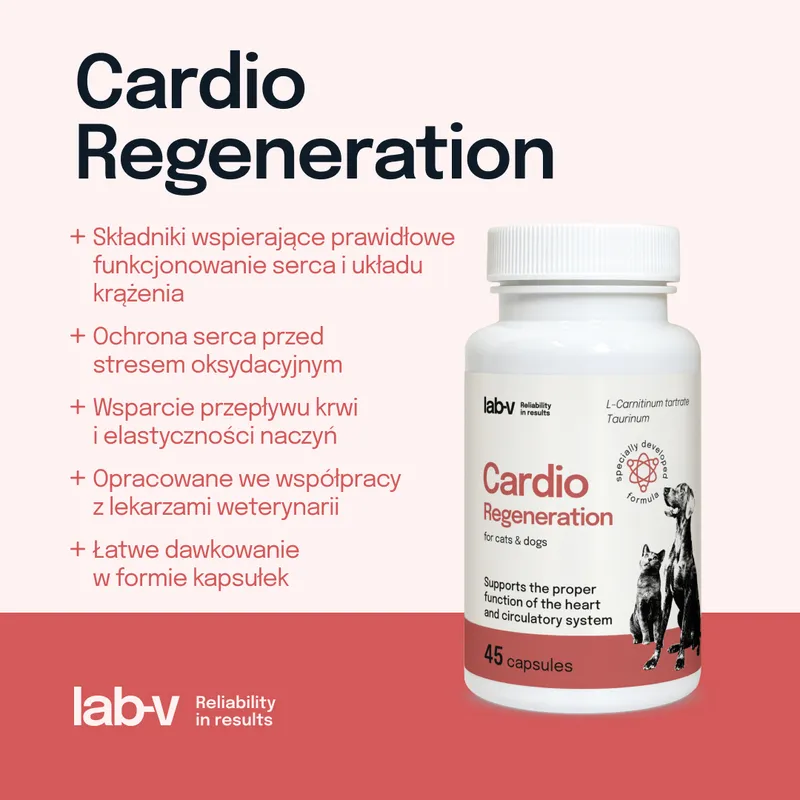 Lab-V Cardio Regeneration Wsparcie Prawidłowego Funkcjonowania Pracy Serca I Układu Krążenia Dla Psów I Kotów 45 Kapsułek