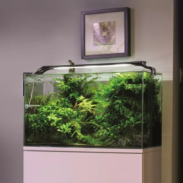 AQUAEL Leddy Slim 32W Plant 2.0 - Czarny