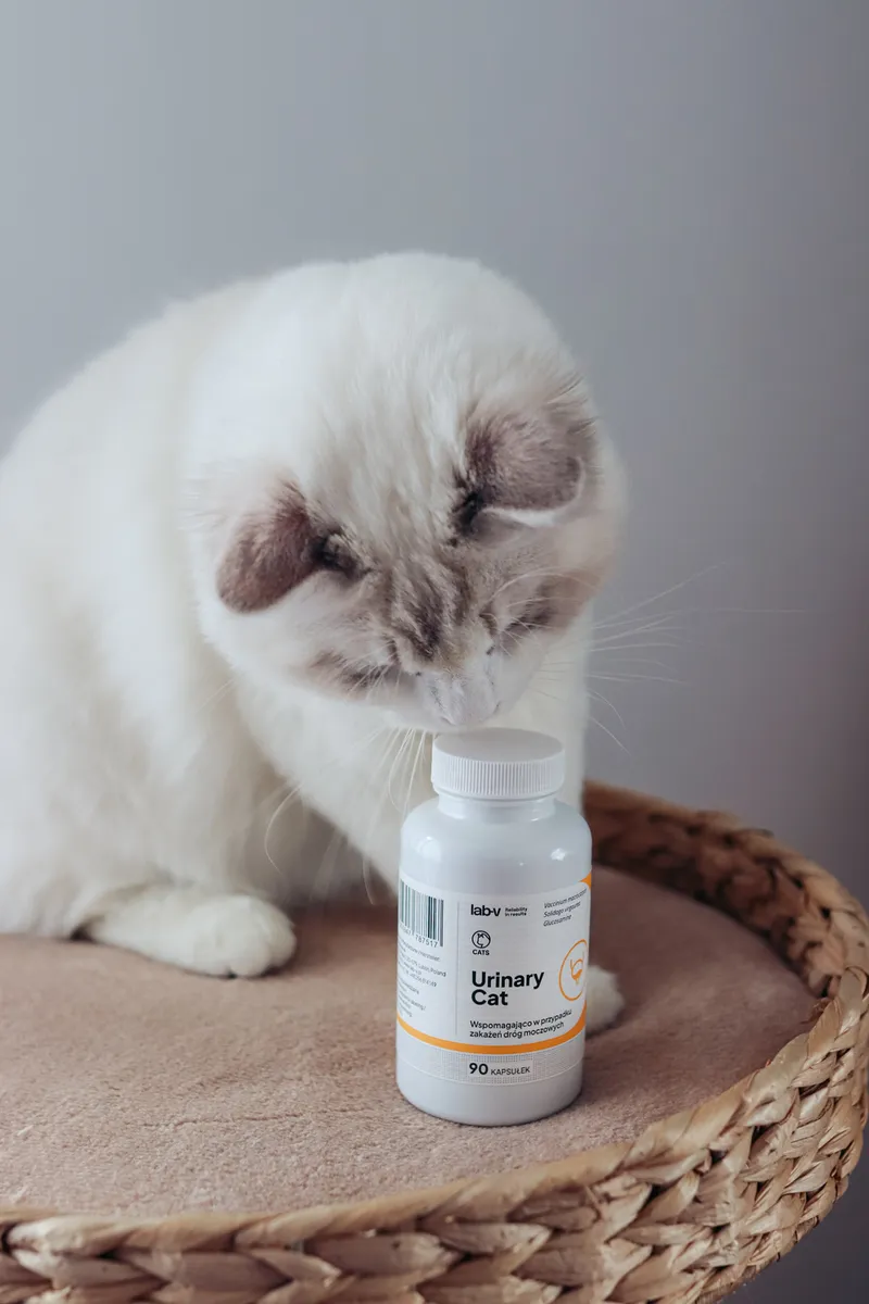 Lab-V Urinary Cat Wsparcie Układu Moczowego Dla Kotów 90 Kapsułek