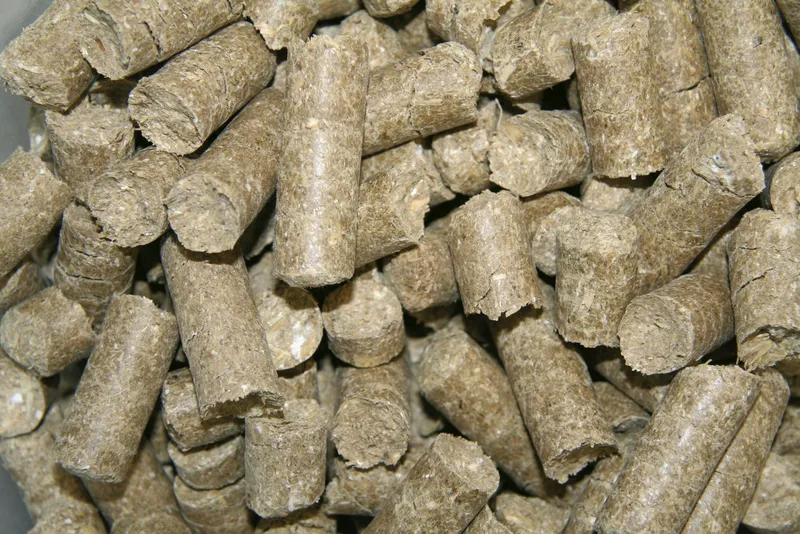 KERBL Delizia Smakołyki Malina 1kg