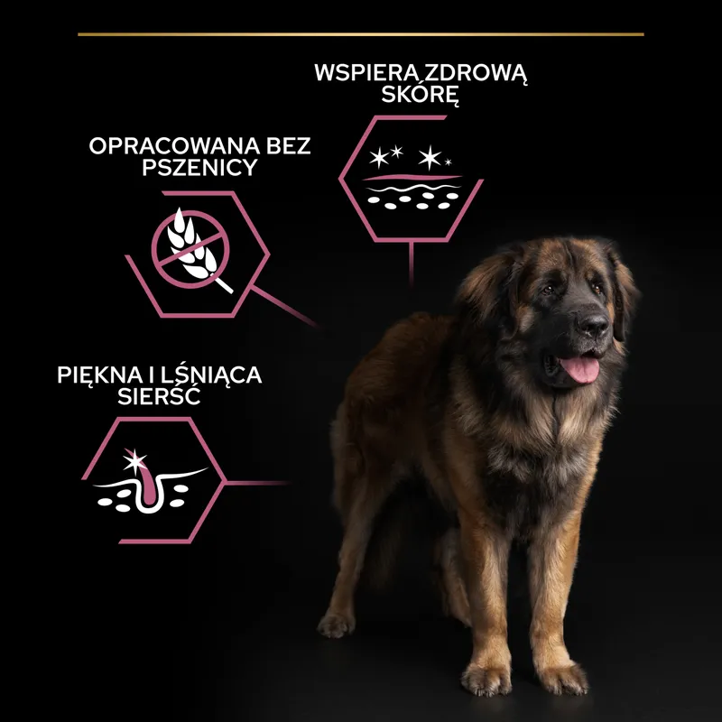 Purina Pro Plan Large Adult Robust Optiderma Łosoś Z Ryżem 14kg