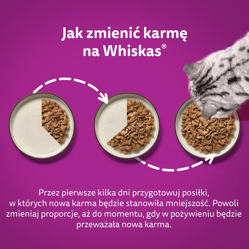 WHISKAS Adult Karma Mokra Dla Kotów Wołowina Kurczak Jagnięcina Drób 12x85g