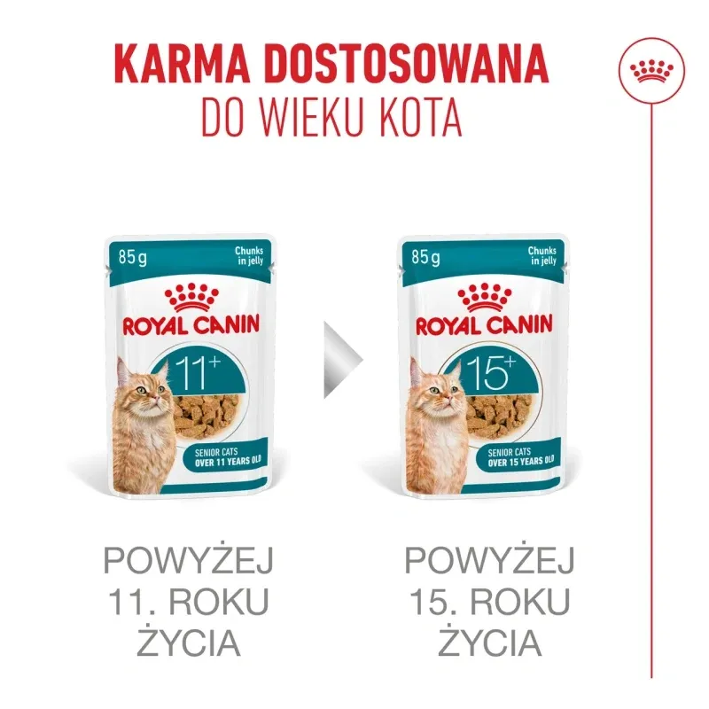 Karma Mokra Dla Kota Seniora W Galaretce ZOOJOY Royal Canin 12 x 85 g