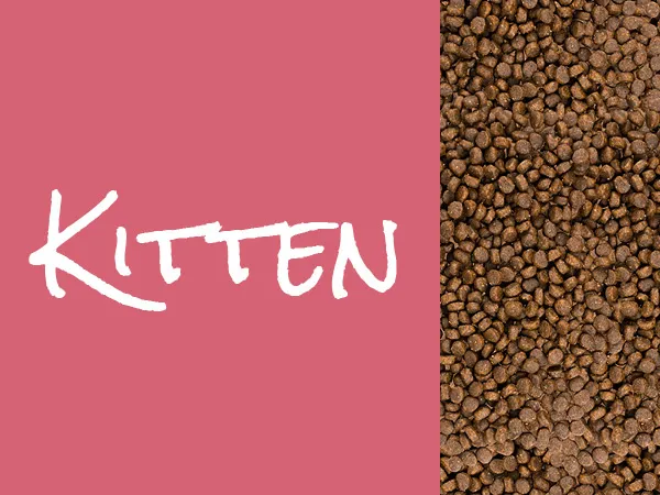 Josera Josicat Kitten Karma Sucha Dla Kociąt 10kg