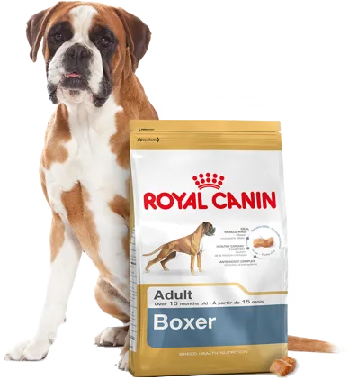 ROYAL CANIN Boxer Adult 12kg