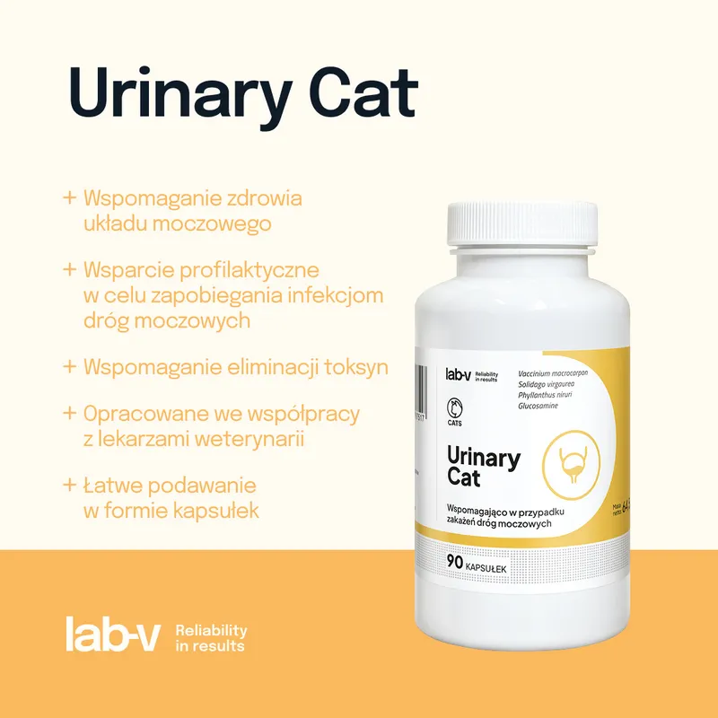 Lab-V Urinary Cat Wsparcie Układu Moczowego Dla Kotów 90 Kapsułek
