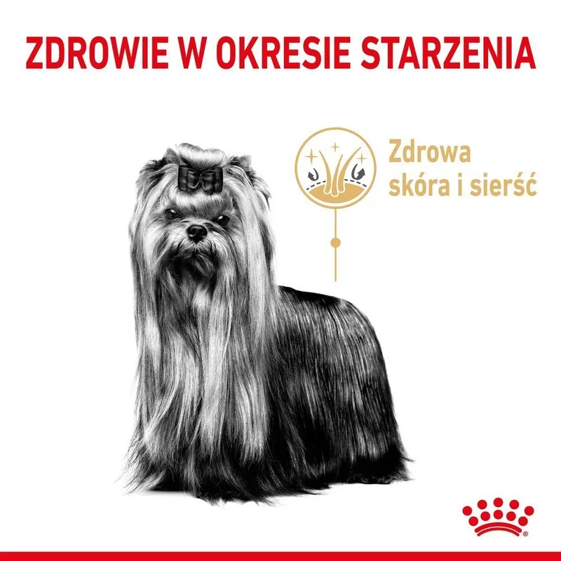 ROYAL CANIN Yorkshire Terrier Adult 8+ 3kg