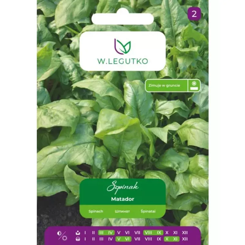 Nasiona Szpinaku Matador Warzywo Ogrodowe 20 g GARDIVA
