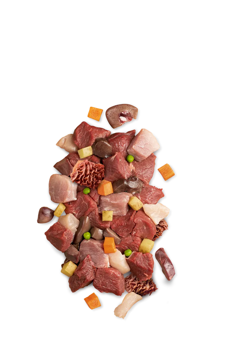 JOSERA Meat Lovers Menu Wołowina Z Ziemniakami 400g