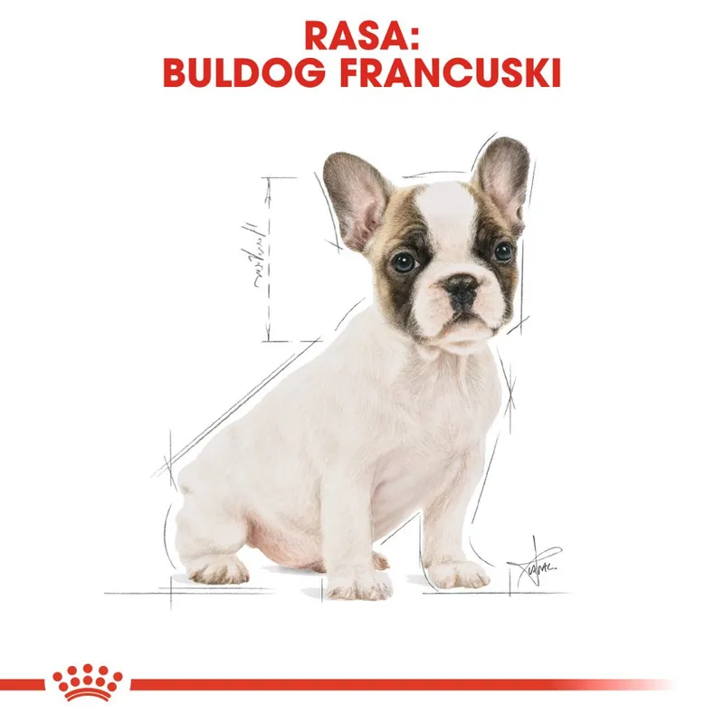 ROYAL CANIN French Bulldog Puppy 10kg
