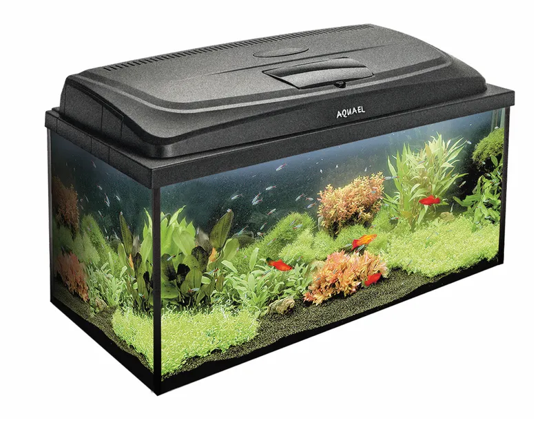 AQUAEL Zestaw Akwarystyczny AQUA4FAMILY 80/P D&N