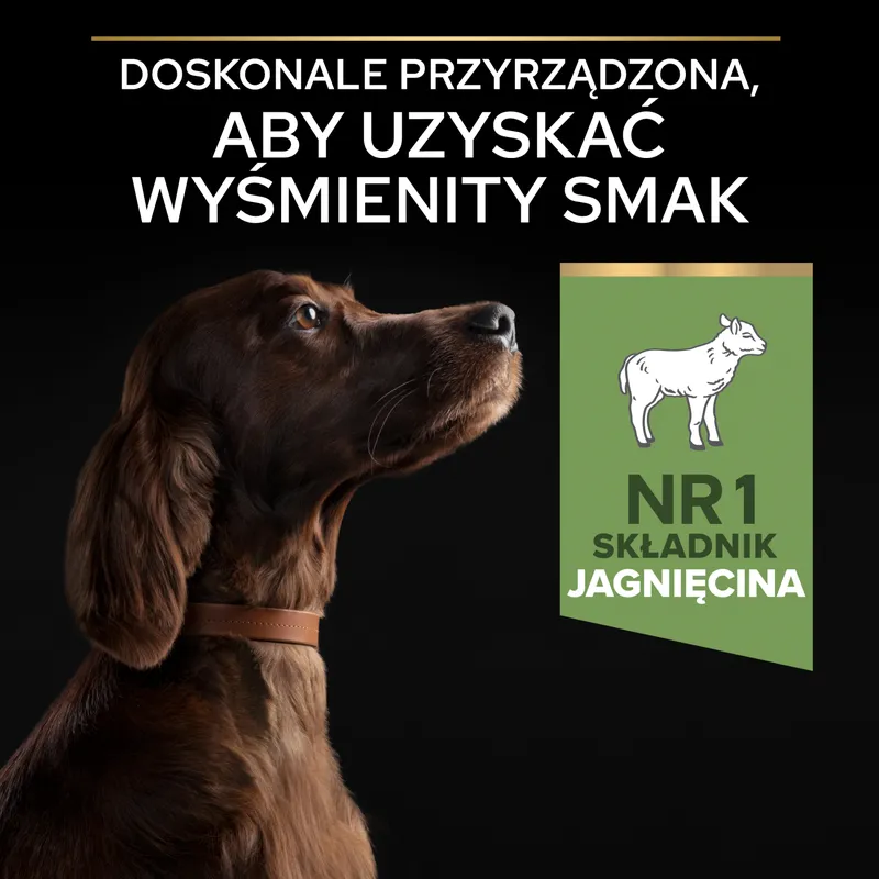 Purina Pro Plan Large Adult Athletic Optidigest Jagnięcina Z Ryżem 14kg