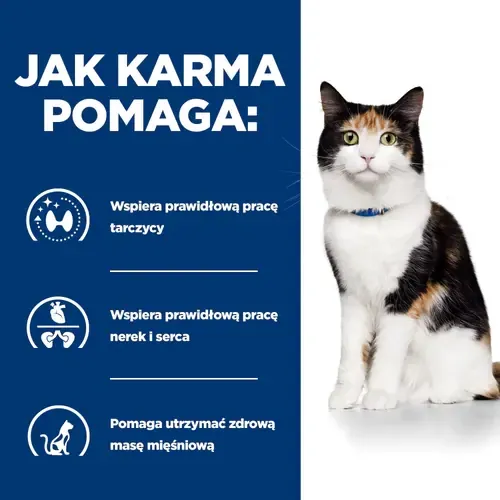 Hill's PD Prescription Diet Feline Y/D 156g