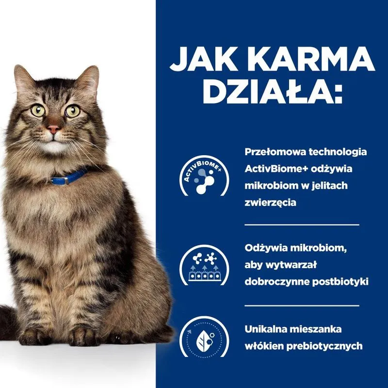 Karma Dla Kota Gastrointestinal Biome Mokra 85 g ZOOJOY