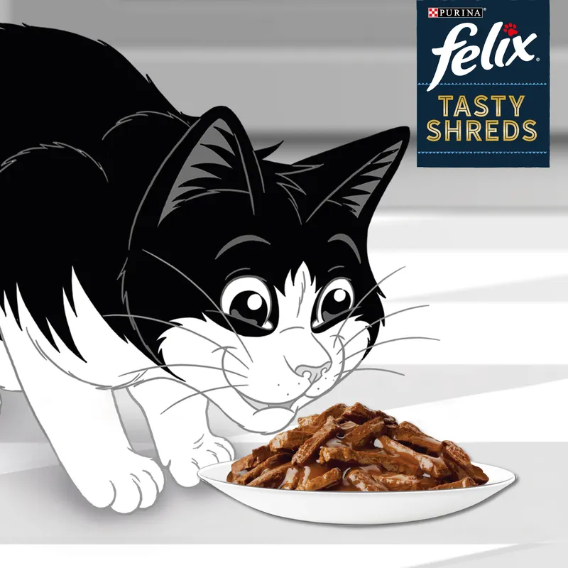 Karma Mokra Dla Kota W Sosie Wiejskie Smaki 320 g ZOOJOY Felix Tasty