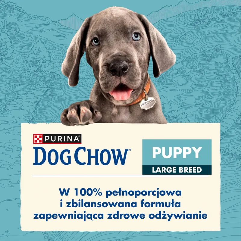 Purina Dog Chow Large Breed Puppy Z Indykiem 14kg