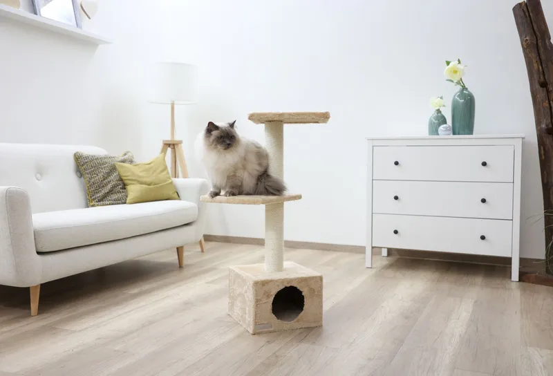 KERBL Drapak Dla Kota Venus Sweet 85cm - Beżowy