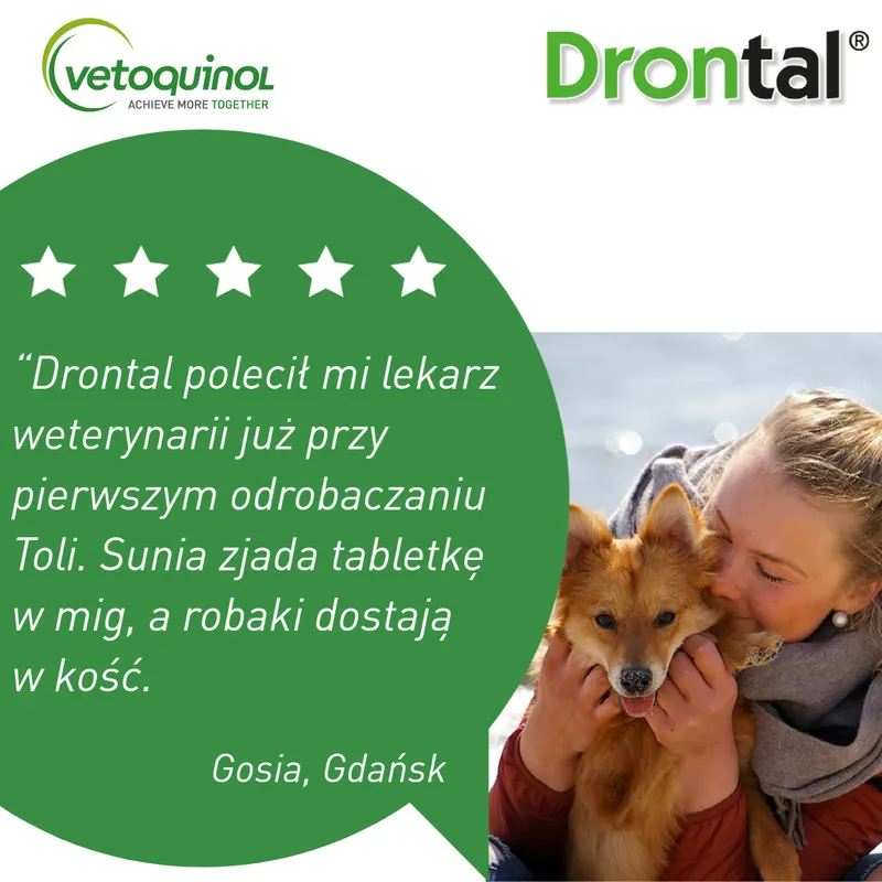 VETOQUINOL Drontal - Dog Flavour Tabletki Dla Psów 2TABL. (Kostki)