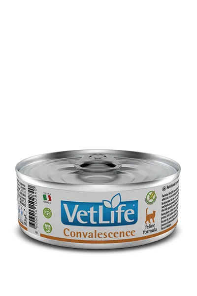Farmina Vet Life Feline Convalescence 85g