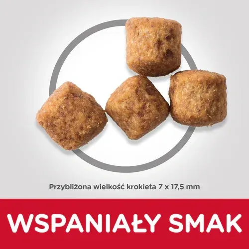 Karma Dla Psa Sucha Kurczak Dla Ras Dużych ZOOJOY