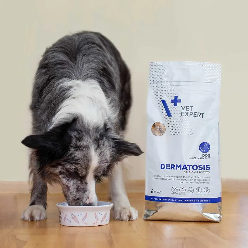 VETEXPERT Veterinary Diet Dog Dermatosis Salmon&Potato 2kg