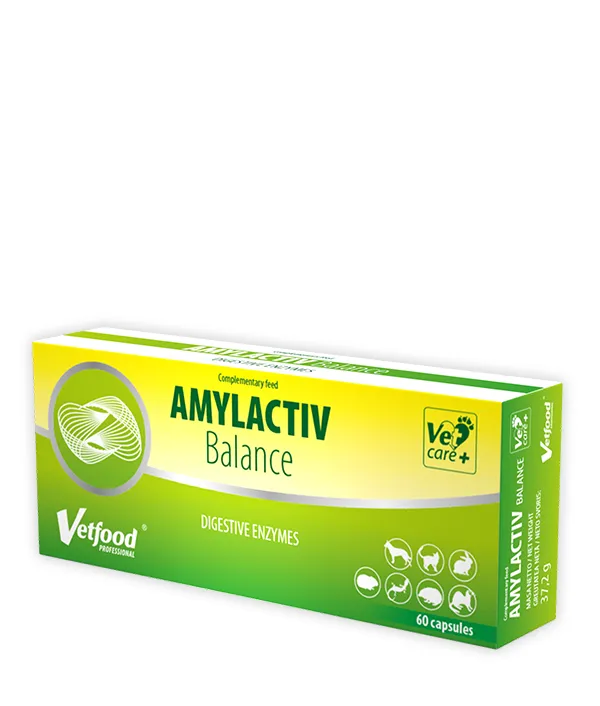VETFOOD Amylactiv Balance 60TAB