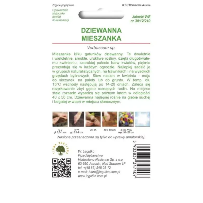 Dziewanna - Mieszanka Gatunków Wieloletnich