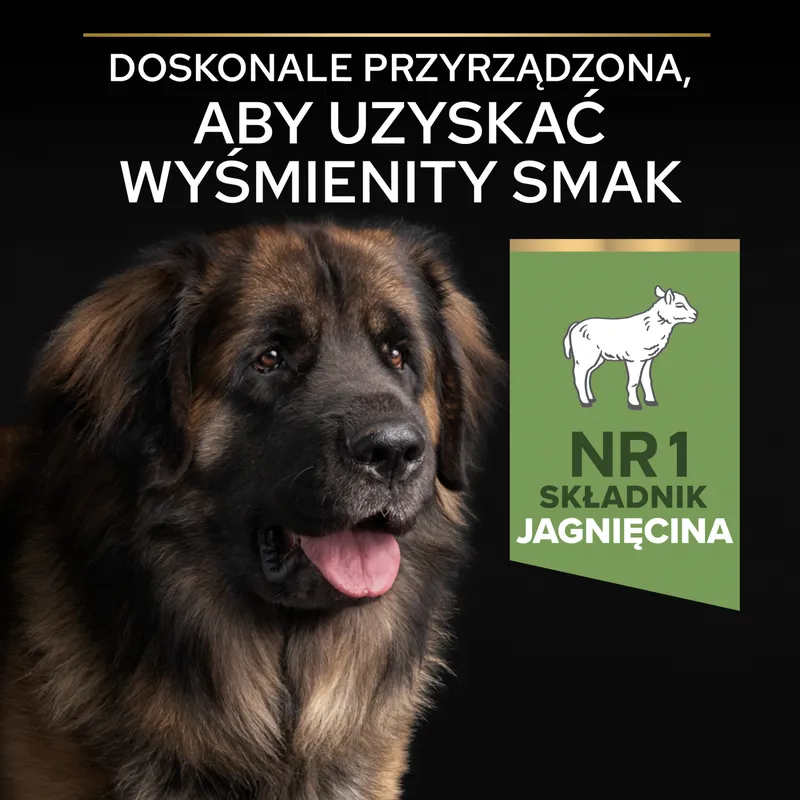 Purina Pro Plan Large Robust Optidigest Jagnięcina Z Ryżem 14kg