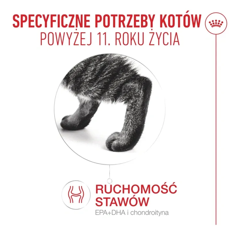 Karma Mokra Dla Kota Seniora W Galaretce ZOOJOY Royal Canin 12 x 85 g