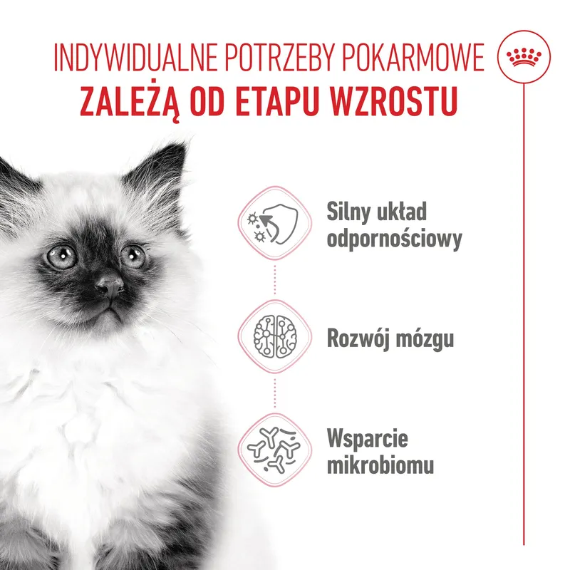 ROYAL CANIN Kitten 10kg