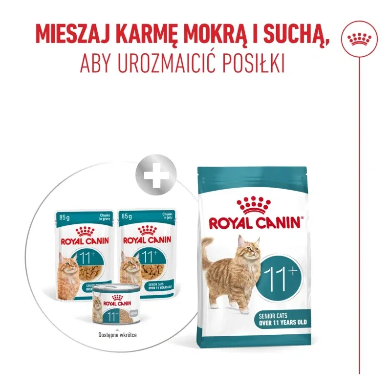 Karma Mokra Dla Kota Seniora W Galaretce ZOOJOY Royal Canin 12 x 85 g